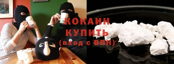 соль ск Абаза