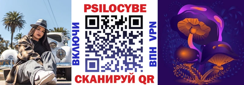 дарк нет Telegram  OMG как зайти  Ступино  Галлюциногенные грибы Cubensis 