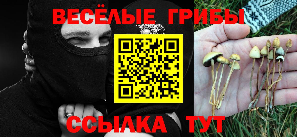 Ступино  Псилоцибиновые грибы мухоморы  Псилоцибиновые грибы мухоморы  Вход с VPN 