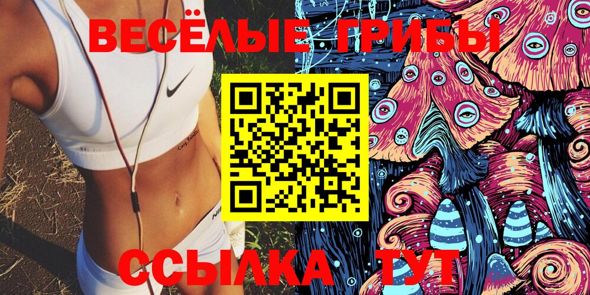 Псилоцибиновые грибы Psilocybe Ступино